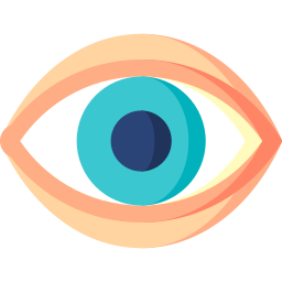 vision
